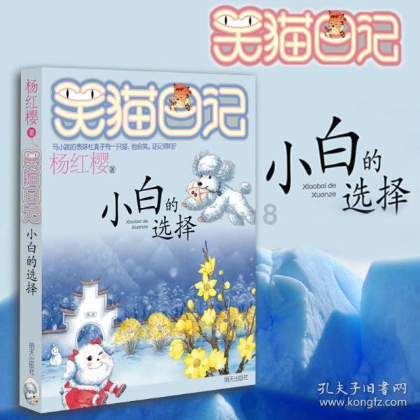 哈尔滨“新农人”变身航拍摄影师,免费为南方游客航拍